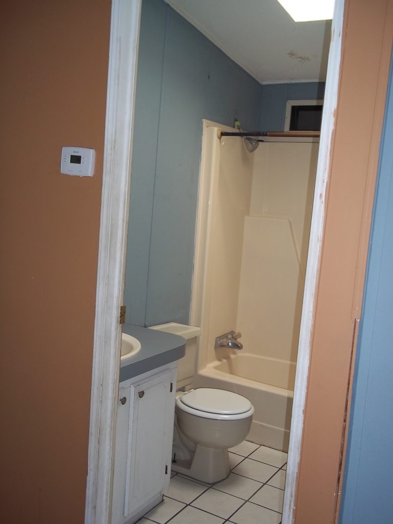 Guest Bathroom with Tub and Vanity and Skylight