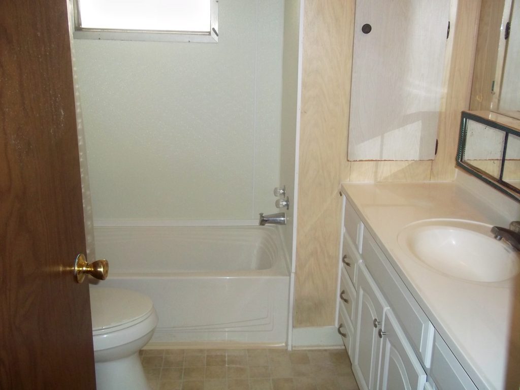 Guest Bathroom - Tub and Vanity