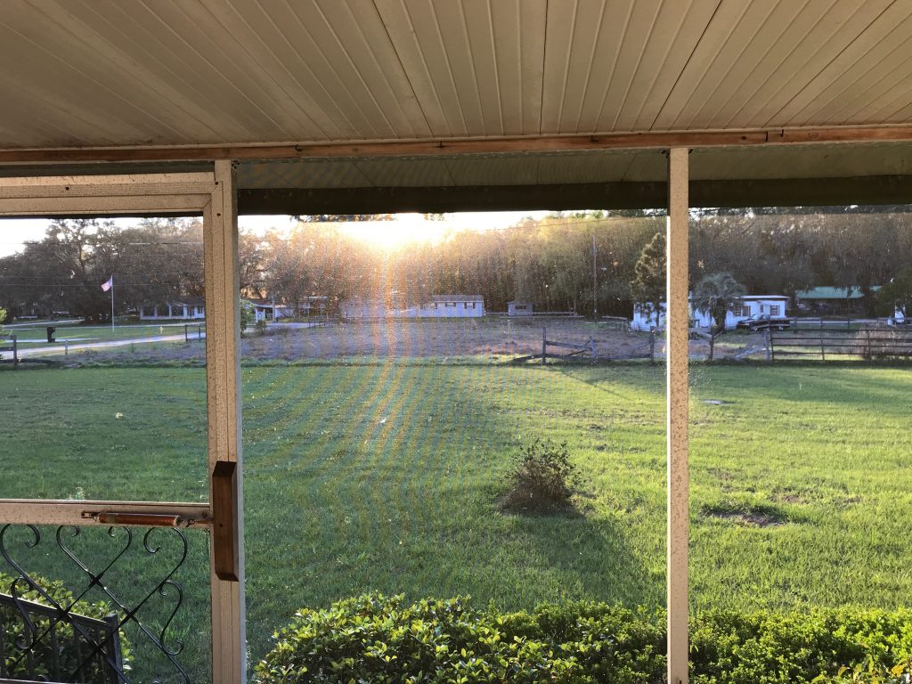 View from Patio. Lush green yard
