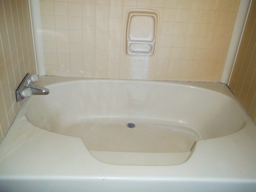 Master Bathroom Shower - Roman Tub
