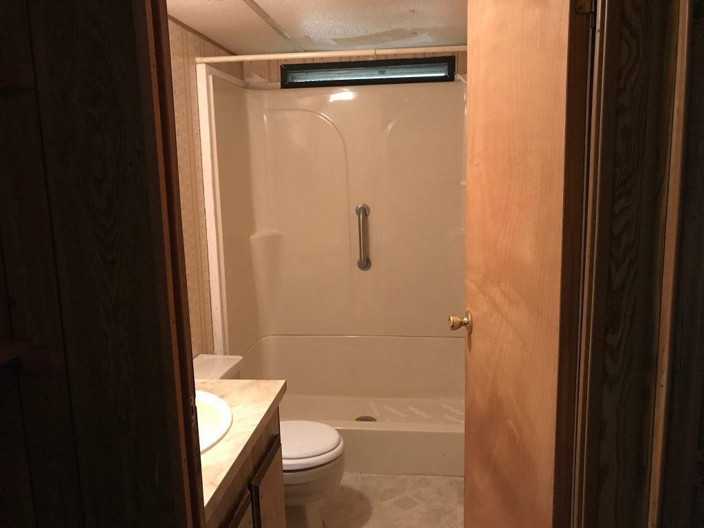 Guest Bathroom with Standing Shower and Vanity
