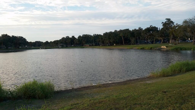 Zephyrhills Recreation